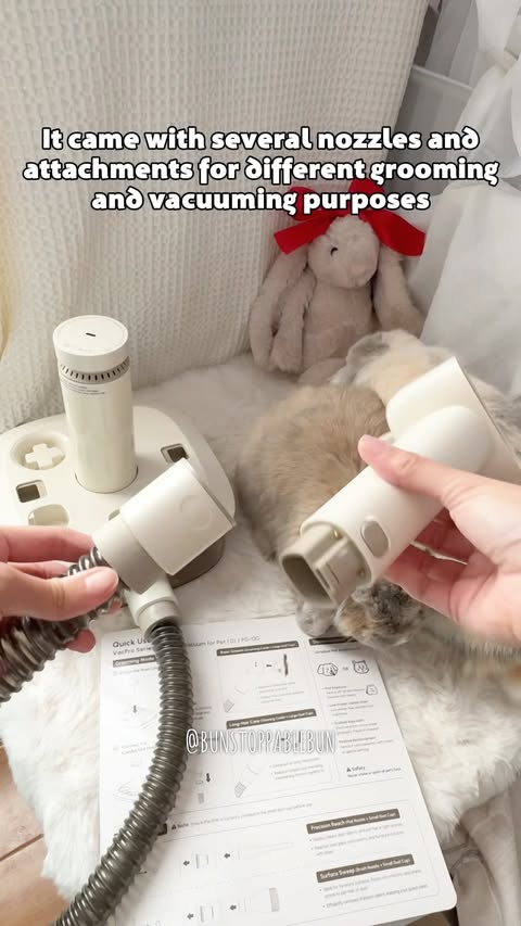 Instagram post by @bunstoppablebun for PetSnowy. Caption reads: [...] you’re a pet parent too, check out the....