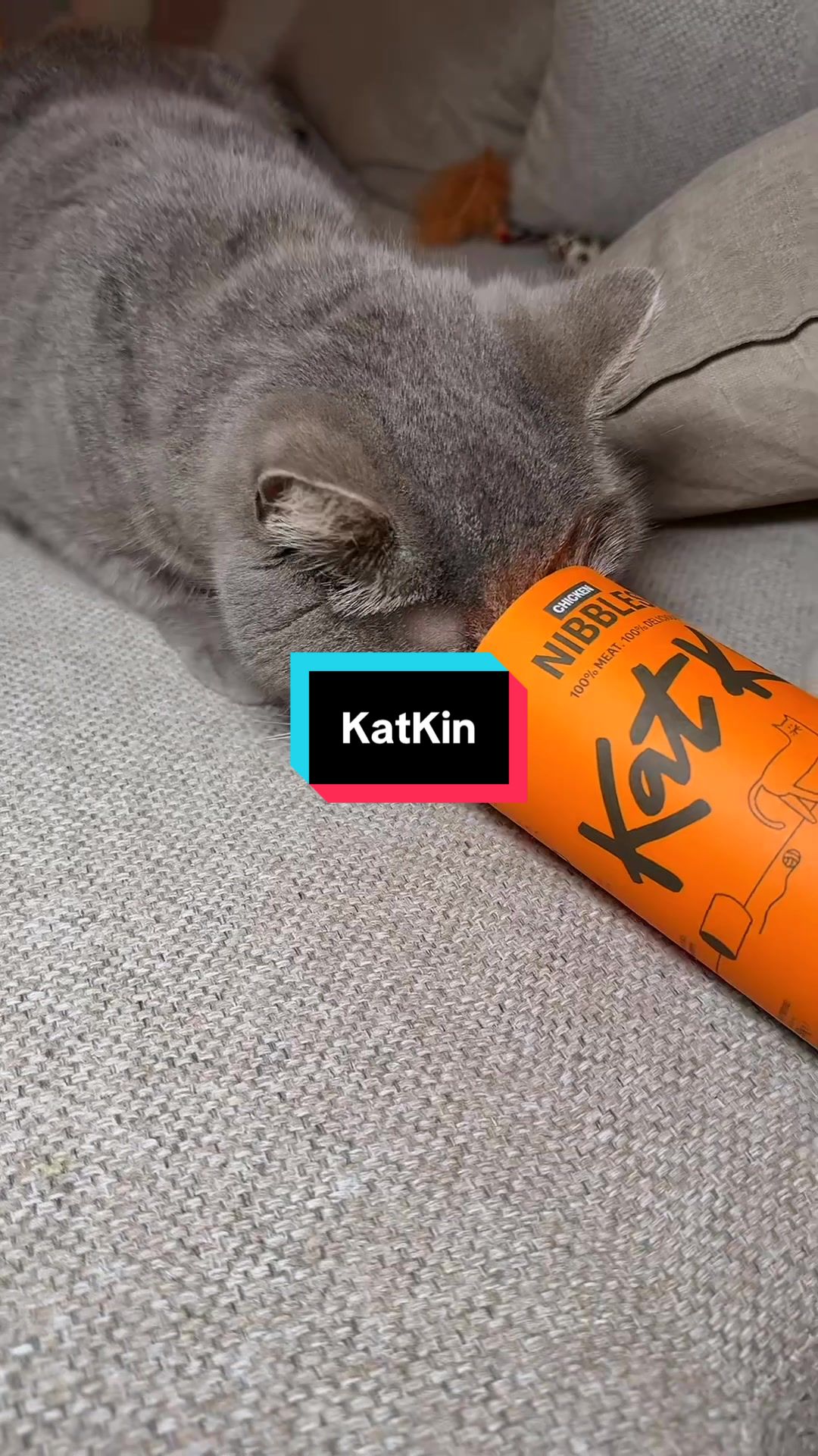TikTok post by @thesmfamily for KatKin. Caption reads: We have switched to @KatKin.Club for a few months,....