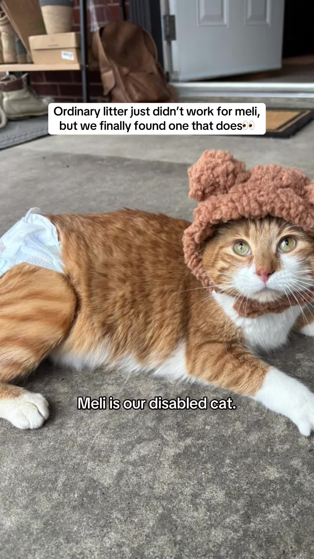 TikTok post by @sar_carolyn for Tuftandpaw. Caption reads: No more gate keeping, the secret is out….👀 We....