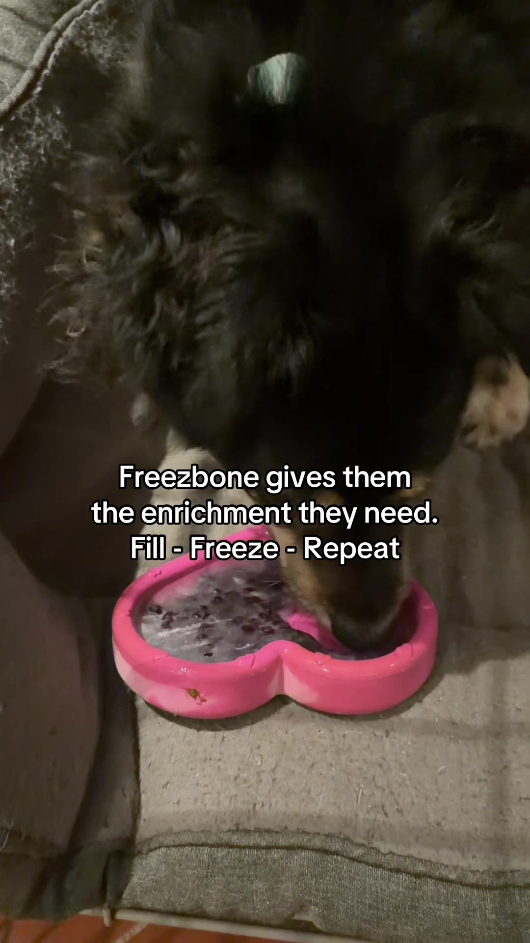 TikTok post by @runitherescuedog for Freezbone. Caption reads: [...] of stock, grab it whilst you can 💖....