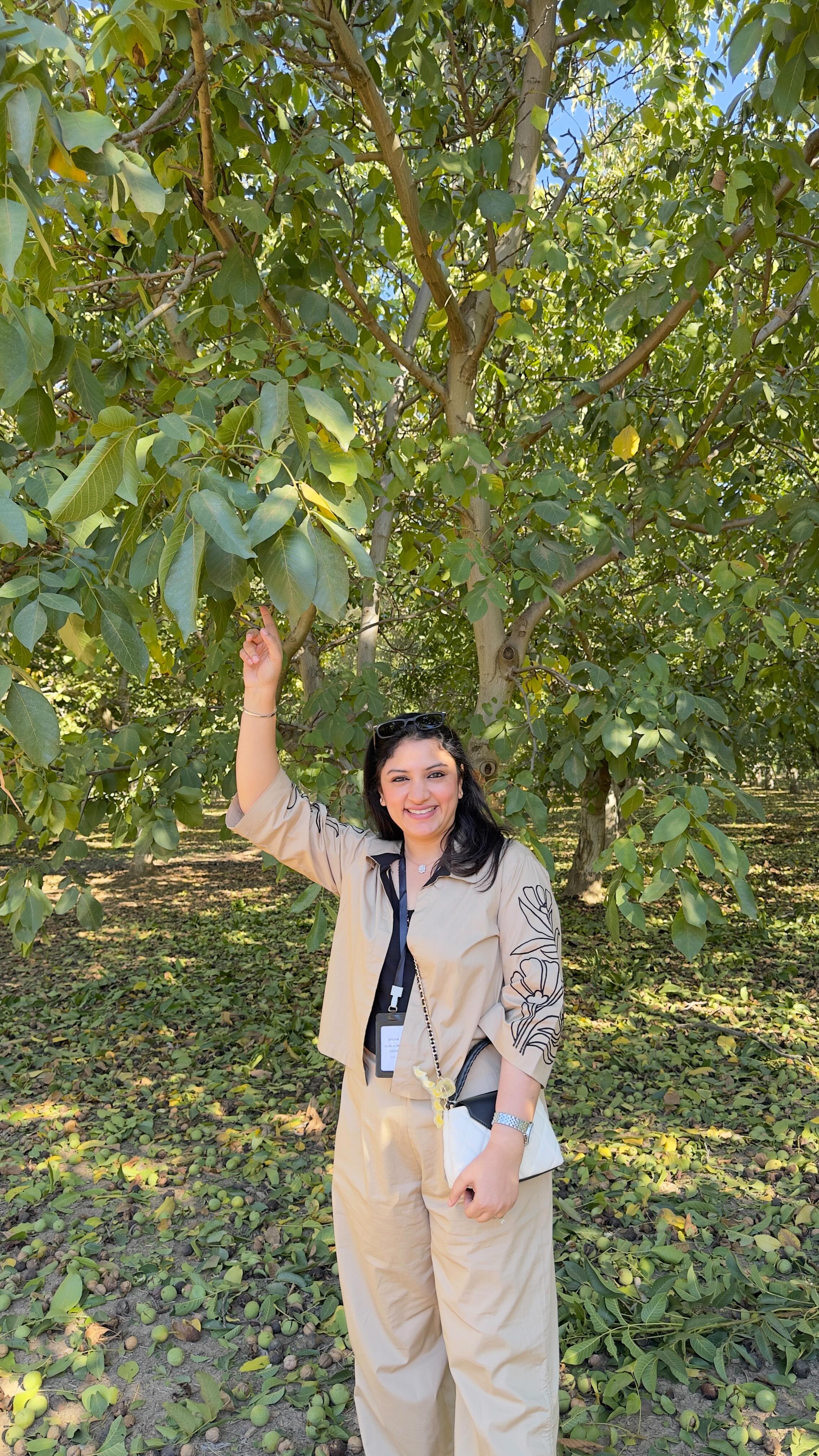 Instagram post by @aruna_vijay_masterchef for California Walnuts. Caption reads: Walnut harvest 

Watching walnuts being harvested....