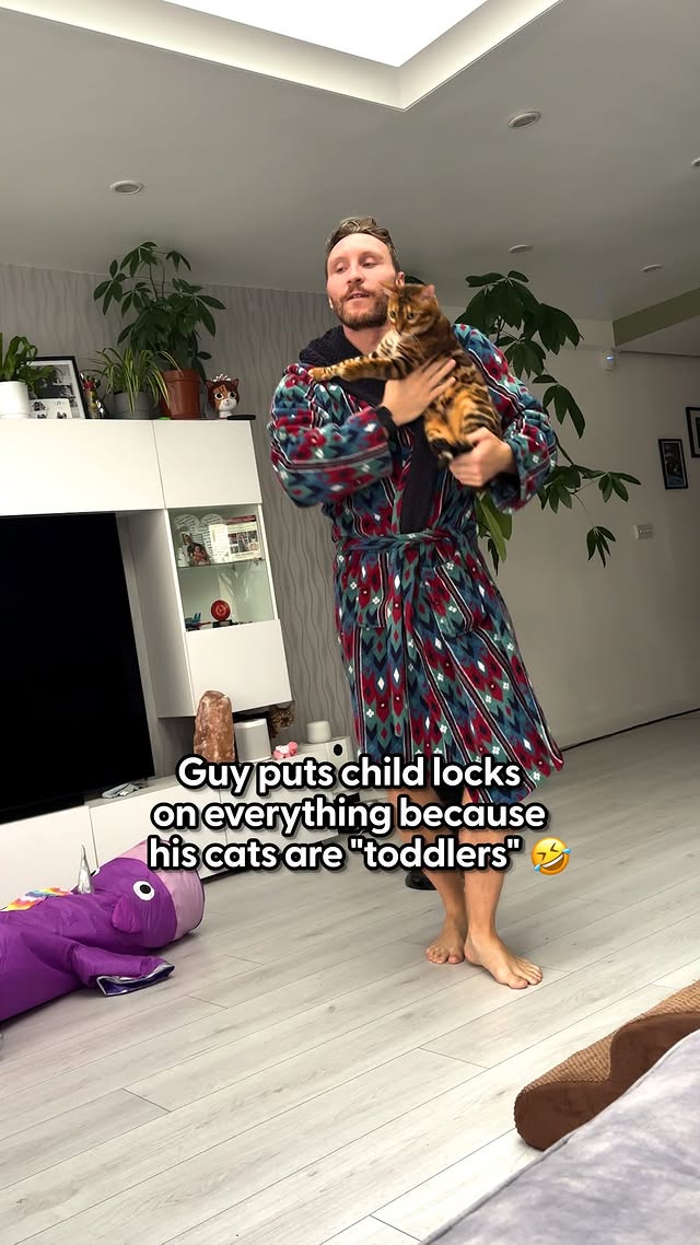 Instagram post by @kingphoenix_queenaurora for The Dodo. Caption reads: His cats think being launched into the air is the....