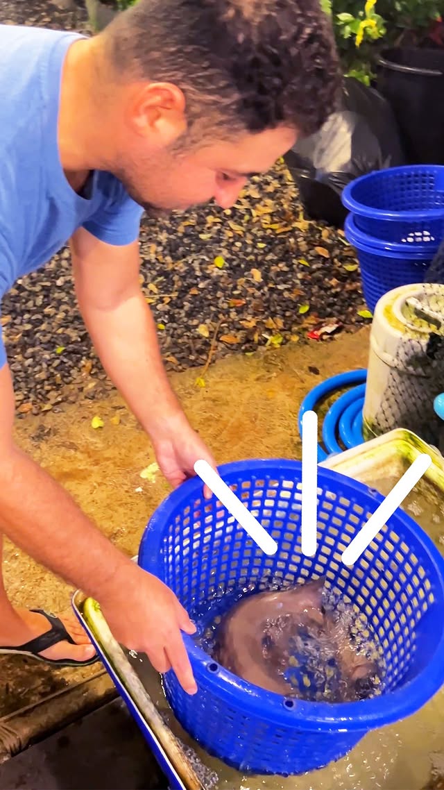 Instagram post by @the.native.explorer for The Dodo. Caption reads: He couldn’t even eat his dinner — all he could....