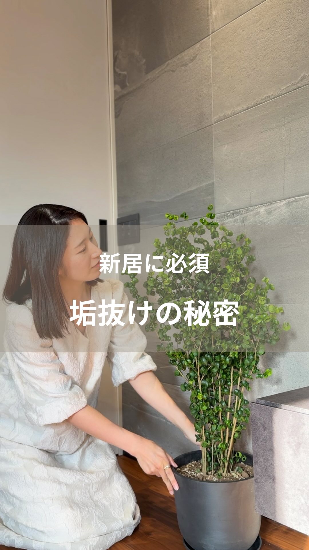 Instagram post by @koko_house_ai for AND PLANTS. Caption reads: 新居に絶対必要🪴💞
⁡
こんばんは〜！kokoです𓆡
@koko_house_ai....