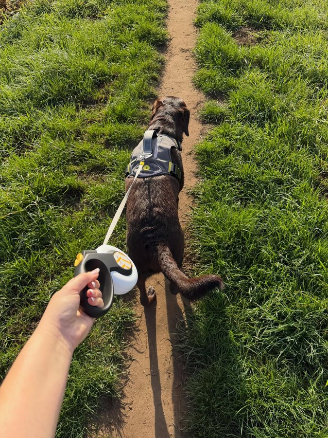 Instagram post by @ohmymurph for FidaPet. Caption reads: [...] upgrade! 🐕

We’ve been testing out the....