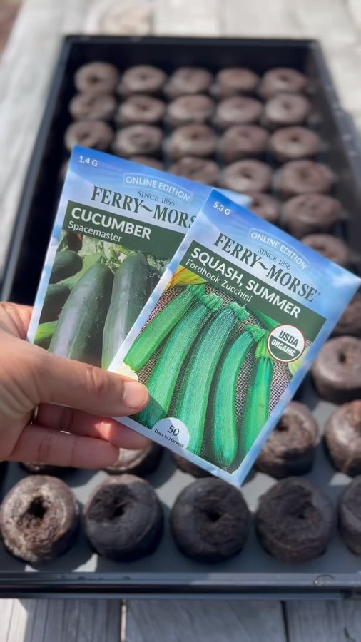 Instagram post by @theloveforgardening for Ferry-Morse. Caption reads: I’m sowing more seeds this week, starting with....