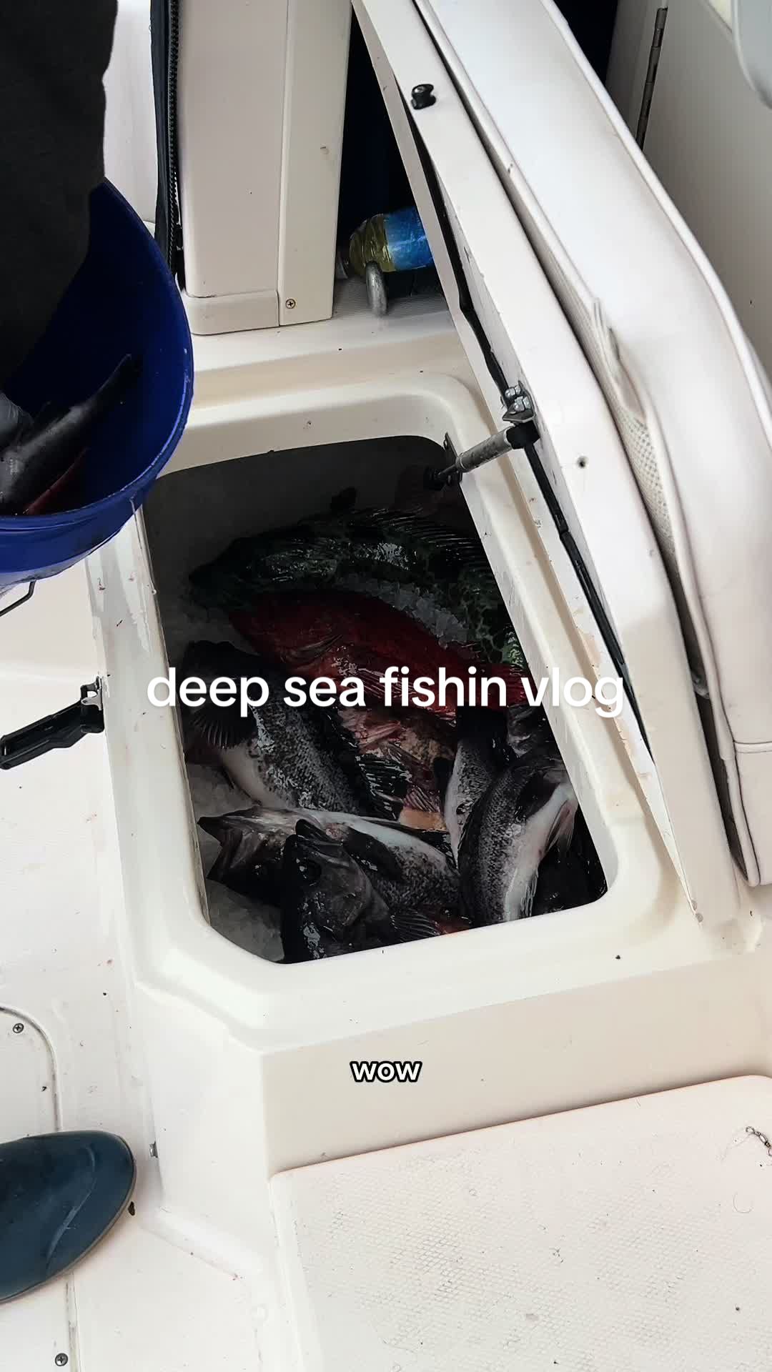 TikTok post by @kaitlyn_bui for Discover Boating. Caption reads: [...] little brother!! Special thanks to @Discover....