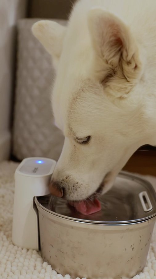 Instagram post by @kodzlife for Uahpet. Caption reads: This water fountain from @uahpet_official is the....