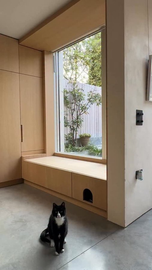 Instagram post by @houseobsessed for KatKin. Caption reads: C A T  L O V E | 
 
Ad| We designed our home with....