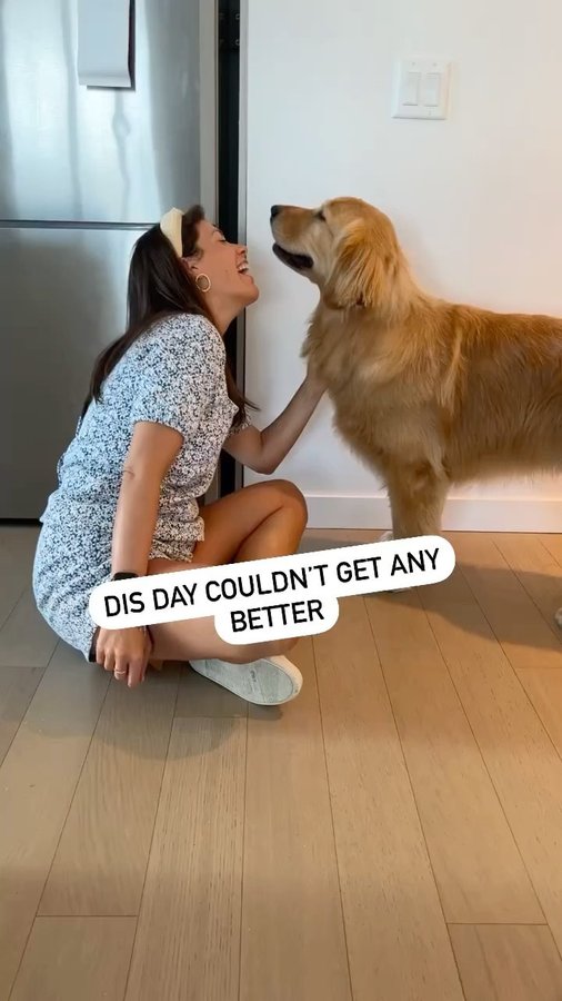 Instagram post by @hudsonbegood for Amazon Pets. Caption reads: [...] We’re so excited to be partnered with....