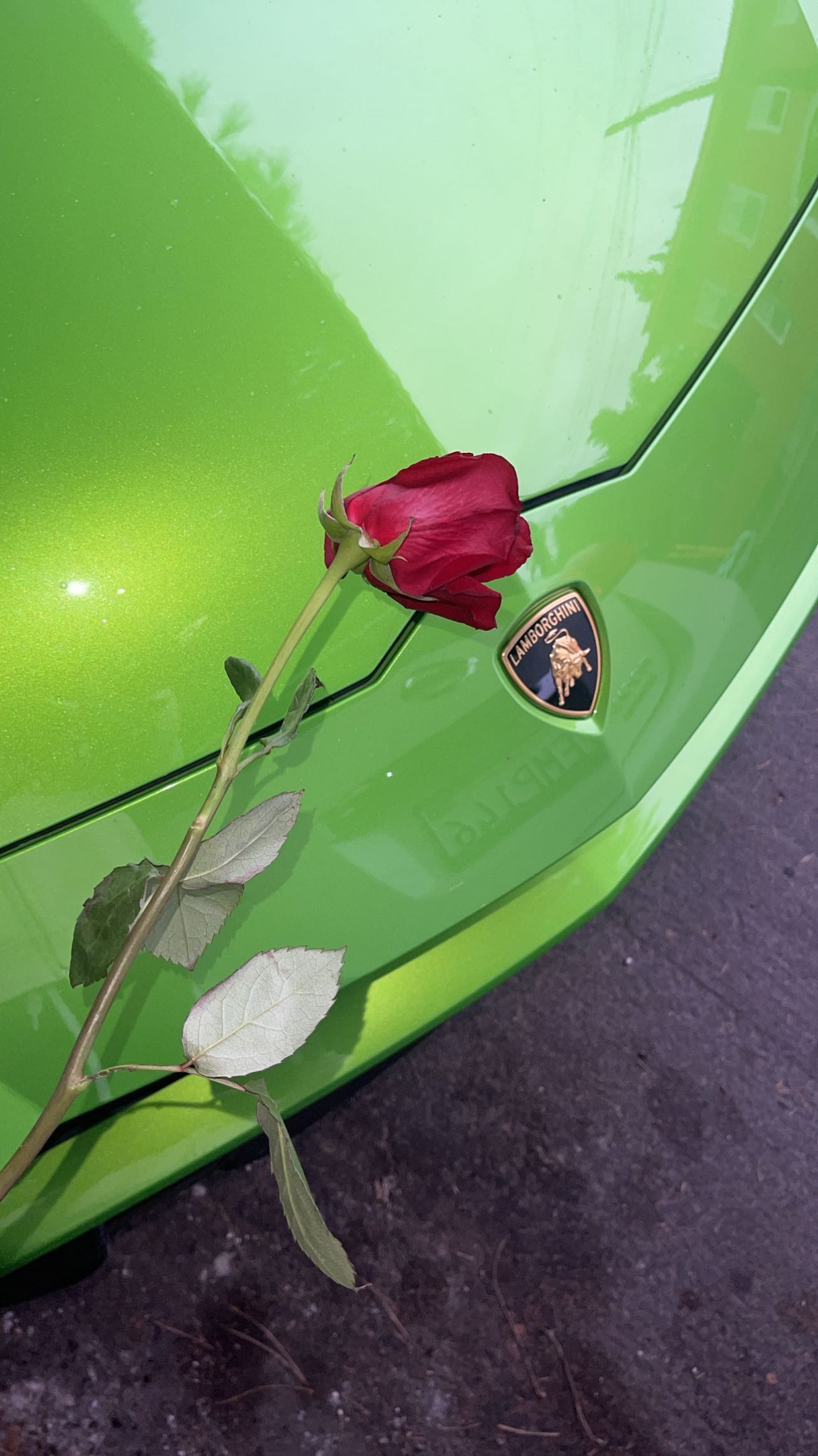 Instagram post by @sincerelyfresh for Lamborghini. Caption reads: [...] This message is sponsored by…. @lamborghini....