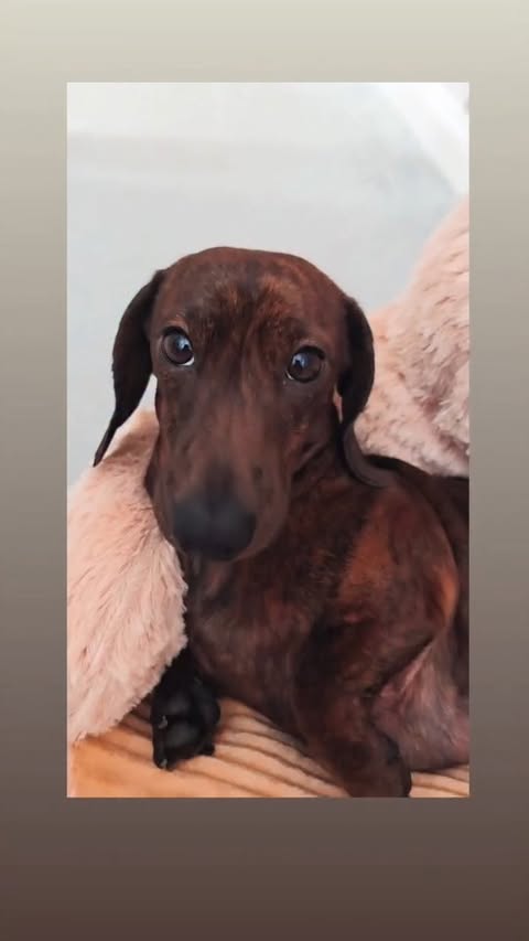 Instagram post by @pink_rose_home for Wowcher. Caption reads: Ad/

Check out @wowcher this New Year for some....