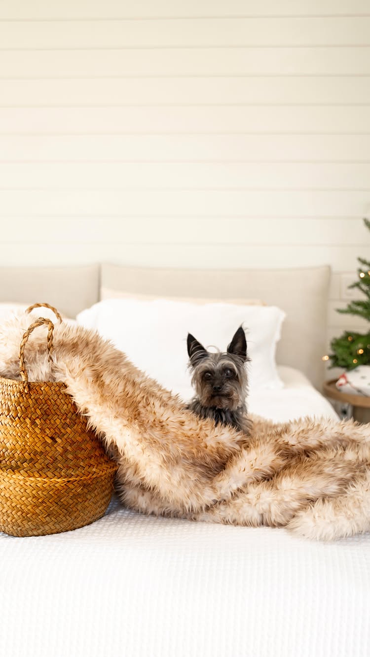 Instagram post by @stevenberrebi for Bedsure Home. Caption reads: The holidays for us are all about cozy feels, with....