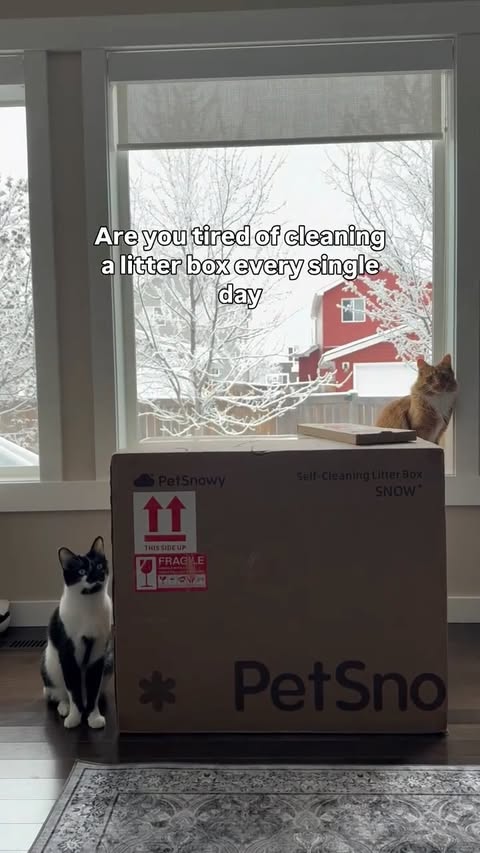 Instagram post by @timandkev for PetSnowy. Caption reads: [...] ways to make things easier. Our....