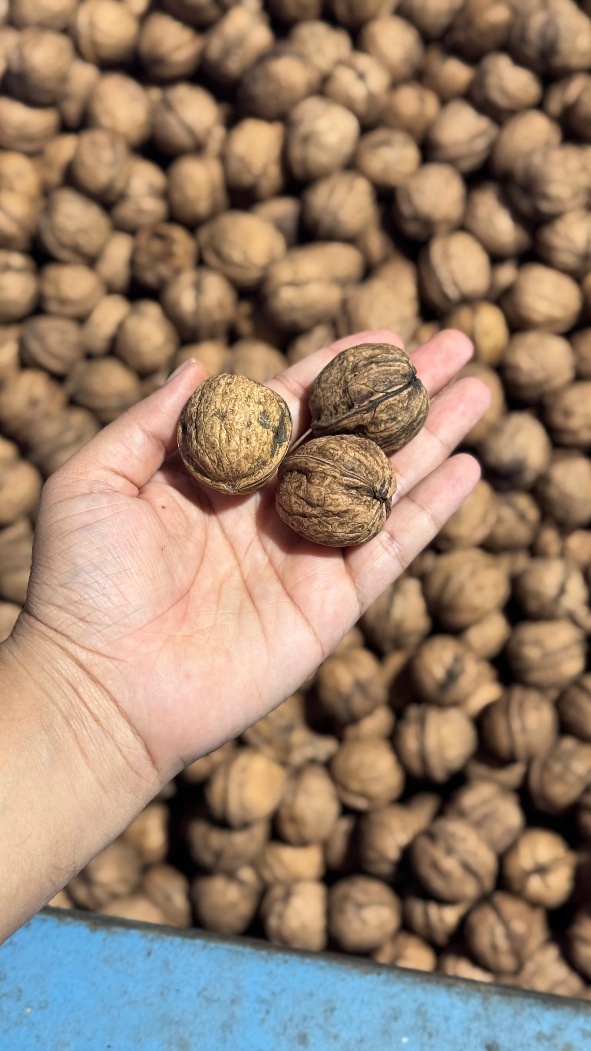 Instagram post by @bhaiyajiletscook for California Walnuts. Caption reads: It’s Raining Walnuts Here In California 😁

Went....