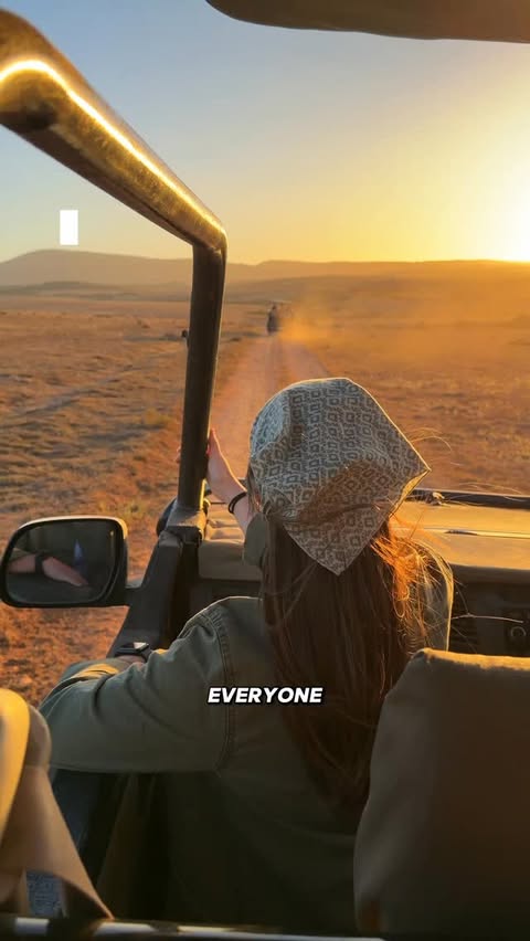 Instagram post by @_ontodaysadventure_ for SafetyWing. Caption reads: Please learn from our mistake… 🫣⬇️

Getting....