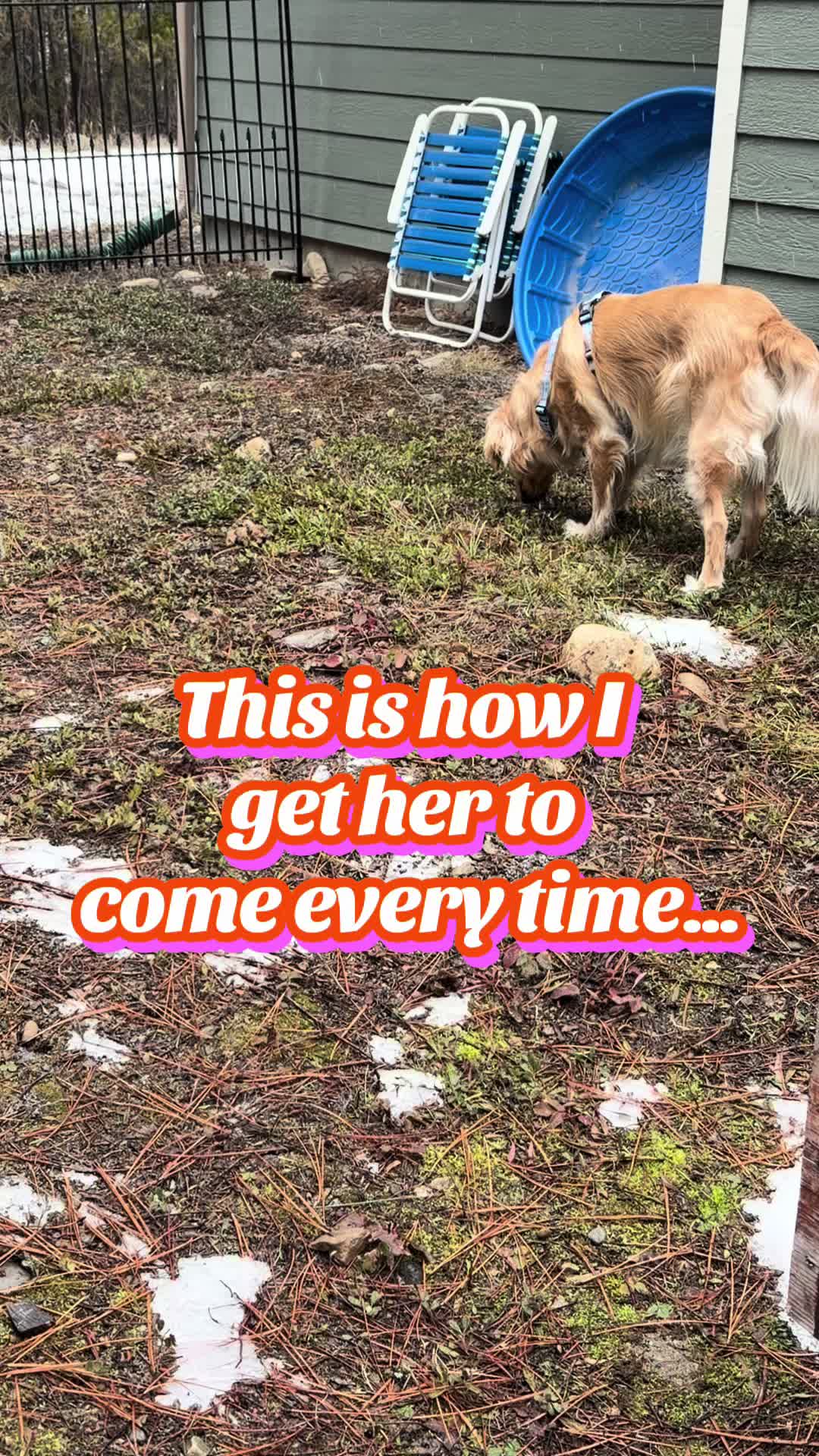 TikTok post by @doseofdakota for Jugbow. Caption reads: [...] #RecallTraining #TikTokShop #GoodGirl....