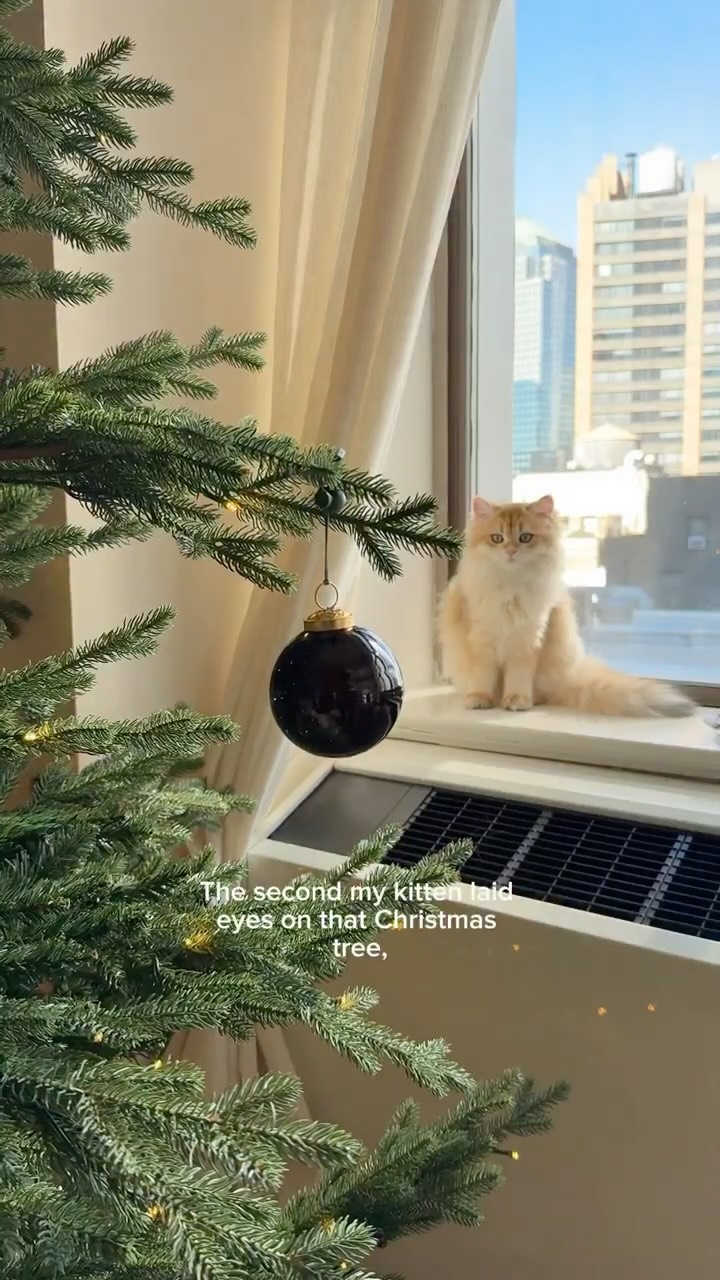 Instagram post by @cleothecitykitty for Ornament Anchor. Caption reads: [...] with this little one 😅🎄 thank you....