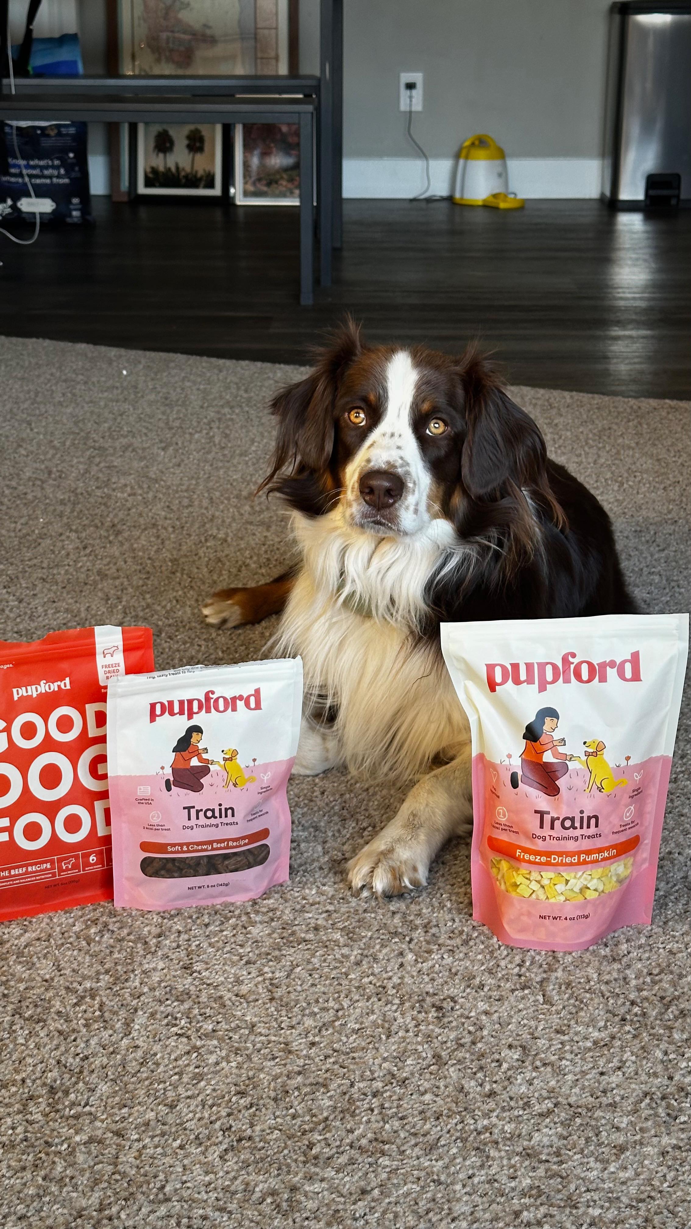 Instagram post by @mountain.marshall for Pupford. Caption reads: Shop Pupford’s Black Friday sale 🖤

Some things....