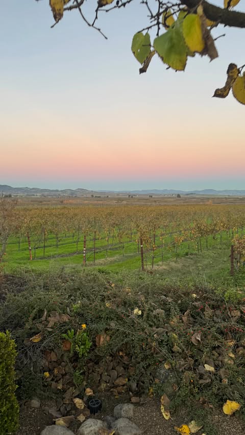 Instagram post by @ms.johnson.teaches for Clean Simple Eats. Caption reads: just try them, I promise you will not be let down....