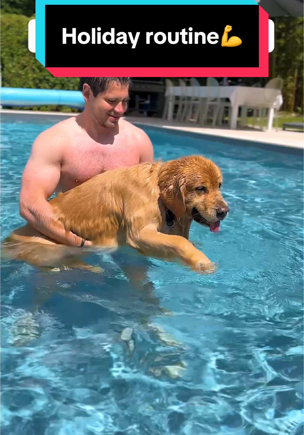 TikTok post by @marleynyc for VetriScience. Caption reads: Routine doesn’t take holiday🐶💪 #holidayhustle....