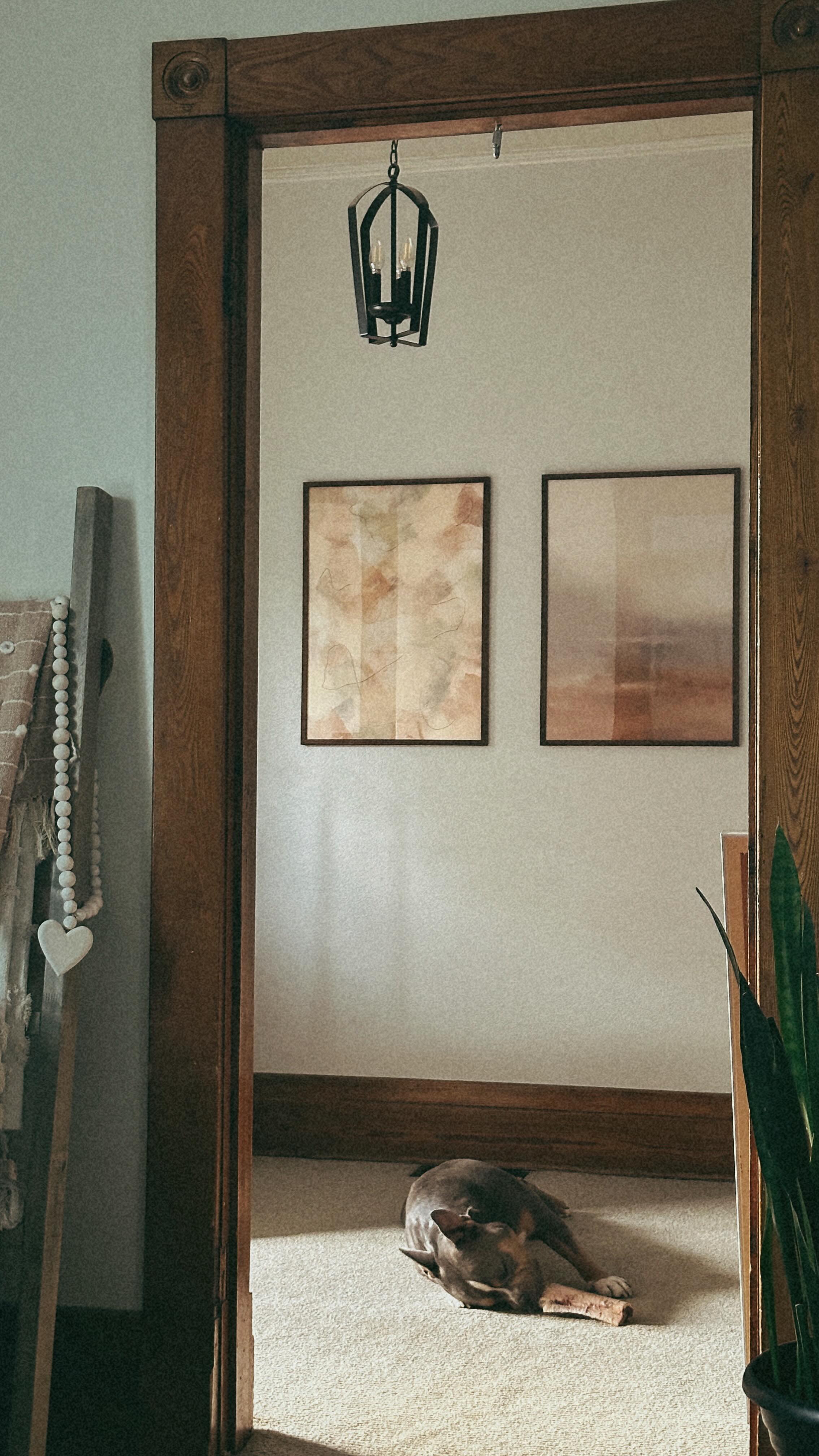 Instagram post by @humble_home for Opposite Wall. Caption reads: [...] vibes for something fresh from @oppositewall....