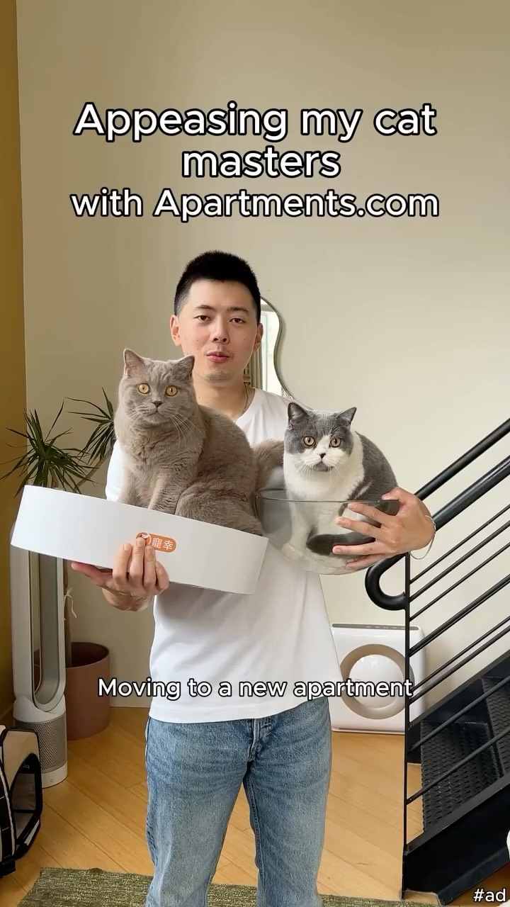 Instagram post by @porkybellyandjim for Apartments. Caption reads: #ad My cats gave me their demands, and....