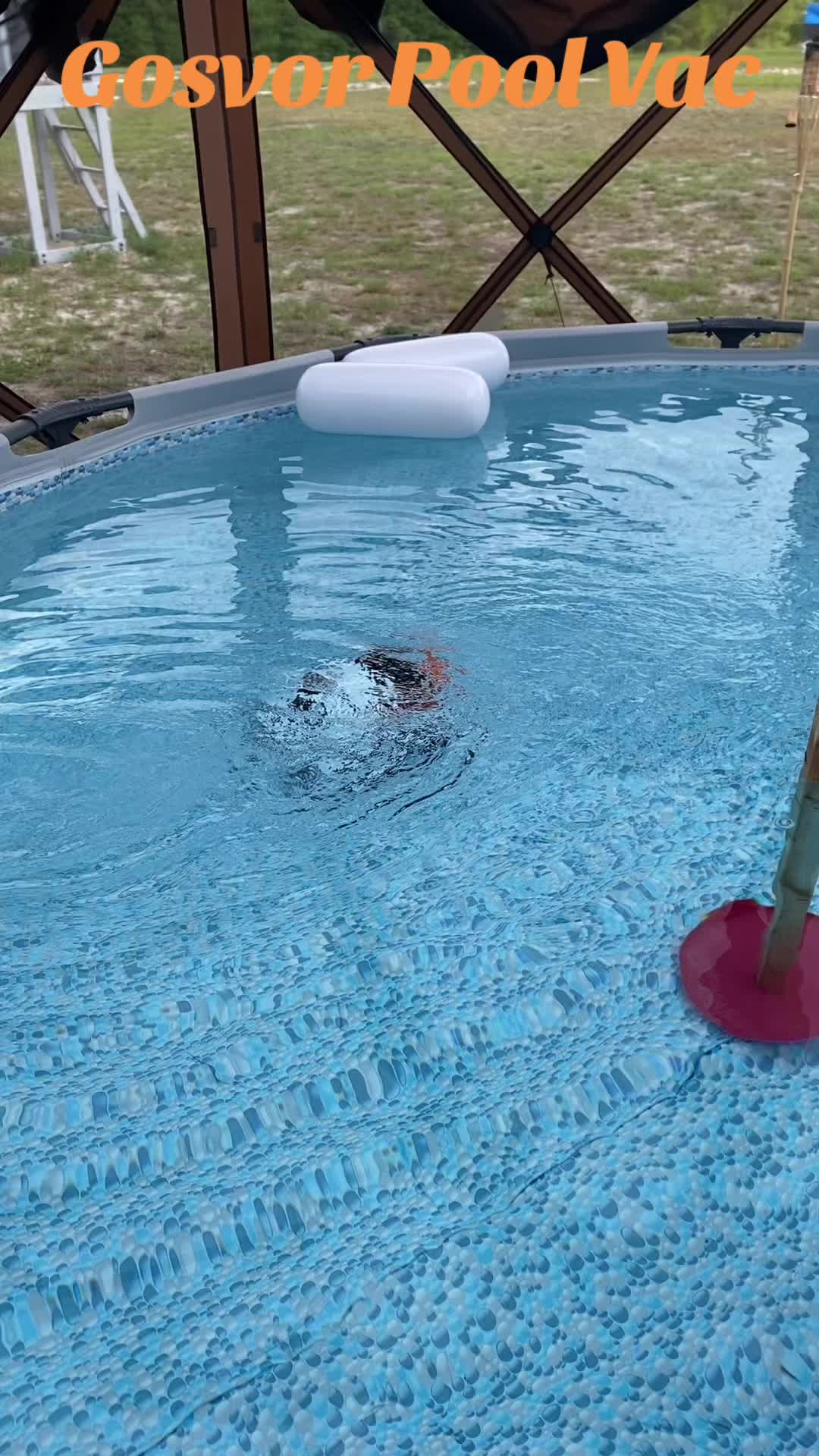 TikTok post by @shawnarttshopfinds for Refined Living. Caption reads: [...] #vacuumcleaner #cleanpool @RefinedLiving I....