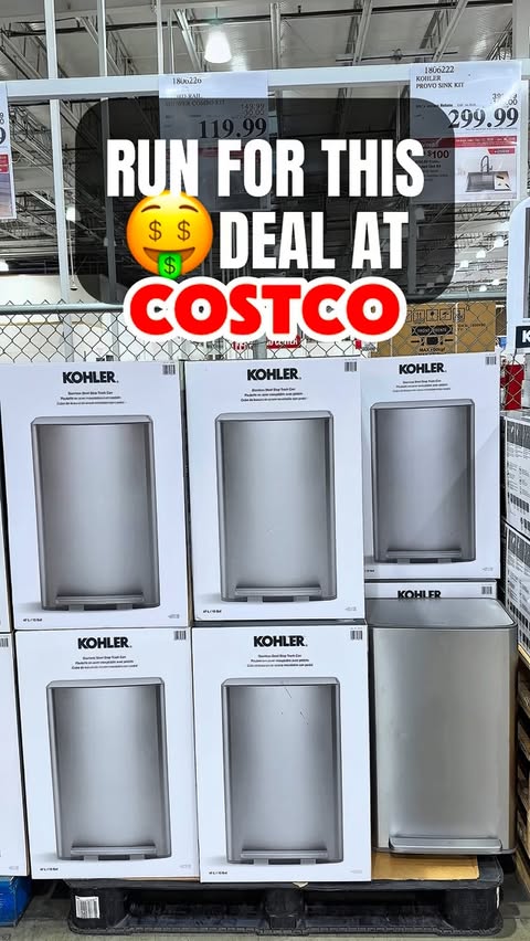 Instagram post by @costcochika for KOHLER. Caption reads: Costco just dropped the Kohler stainless steel....