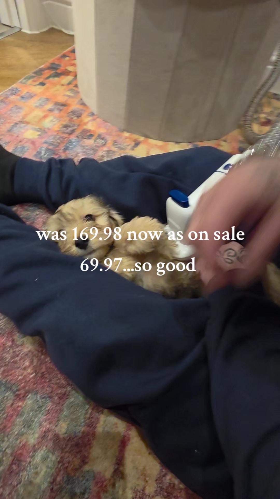 TikTok post by @thenappifamaily for Geoorood. Caption reads: @GEOOROOD UK SHOP #dogs #dog #puppies [...].
