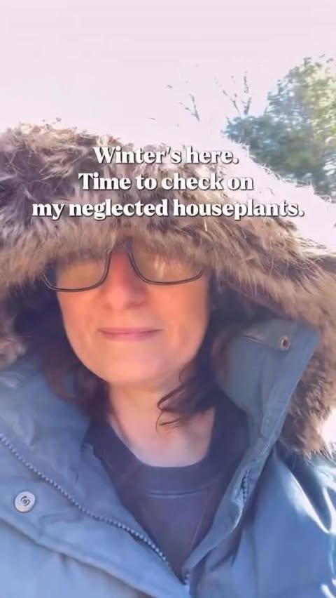Instagram post by @the_retired_housewife for Rosy Soil. Caption reads: Winter is definitely here! With all the cold....