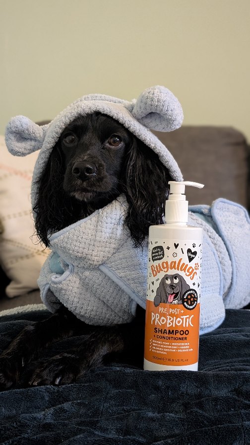 Instagram post by @hugsydaisy for Bugalugs Pet Care. Caption reads: [...] gentle. 🛁 We’ve been loving the....