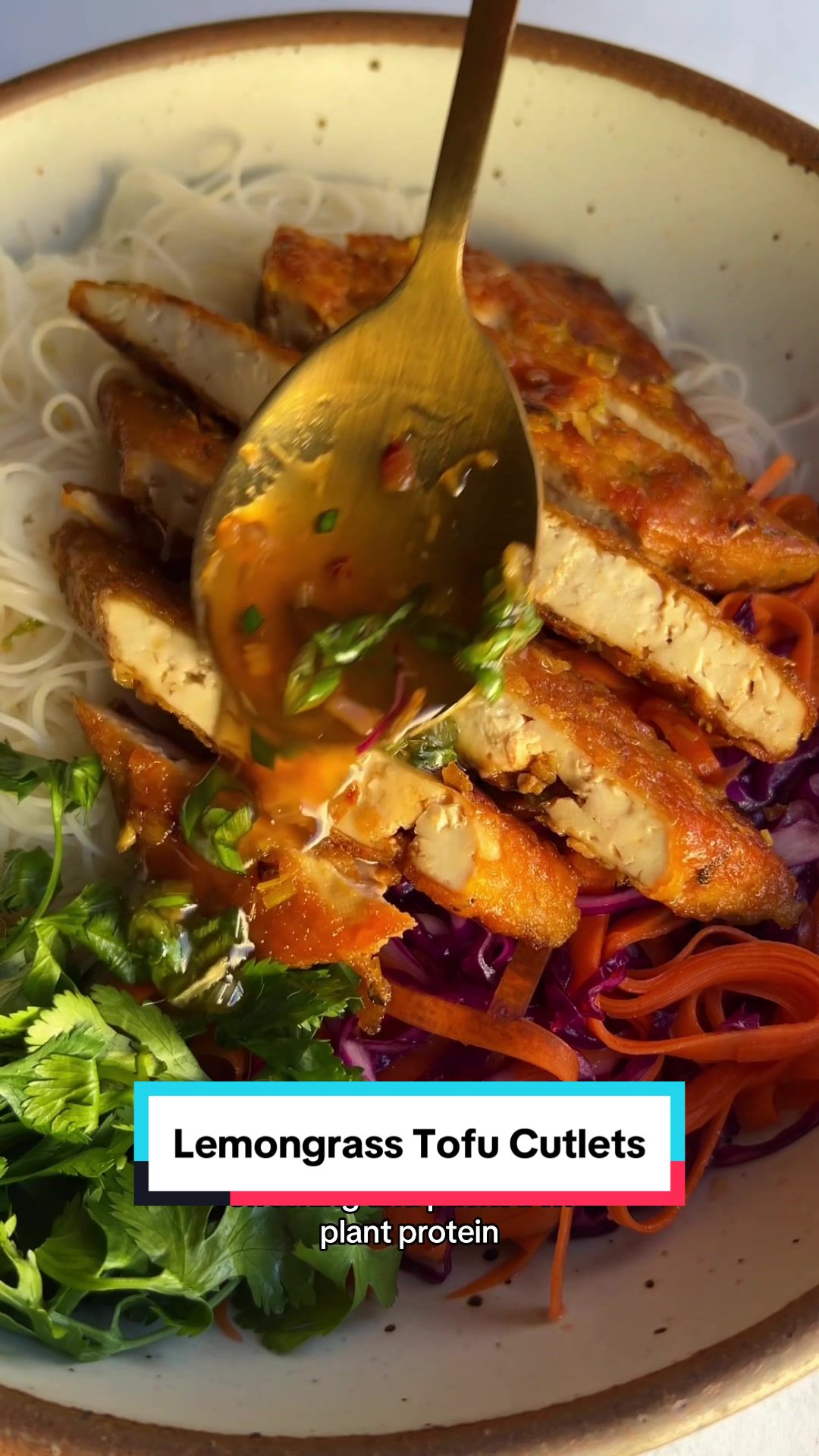 TikTok post by @plantbasedrd for Nasoya. Caption reads: ✨ Lemongrass tofu cutlets, because small changes....