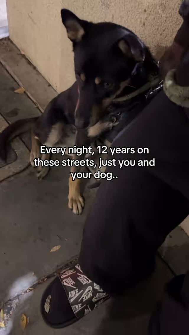 Instagram post by @nima_nasseri_ for GoFundMe. Caption reads: It’s the dog licking the door of her first real....