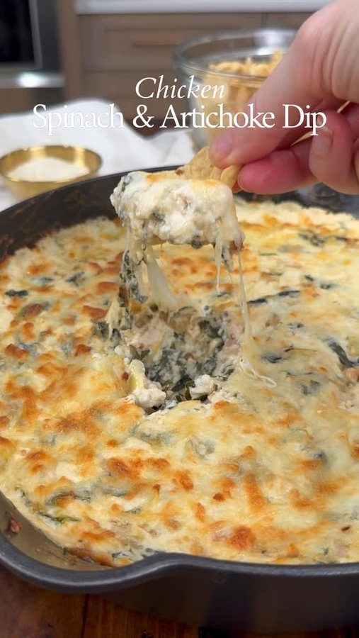 Instagram post by @thesaltycooker for Food Lion. Caption reads: Spinach & Artichoke Dip with Chicken. We're in the....