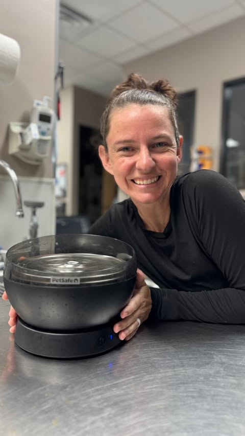 Instagram post by @sarahparsonslvt for PetSafe. Caption reads: [...] Hydrosphere 60oz Cordless Fountain by....