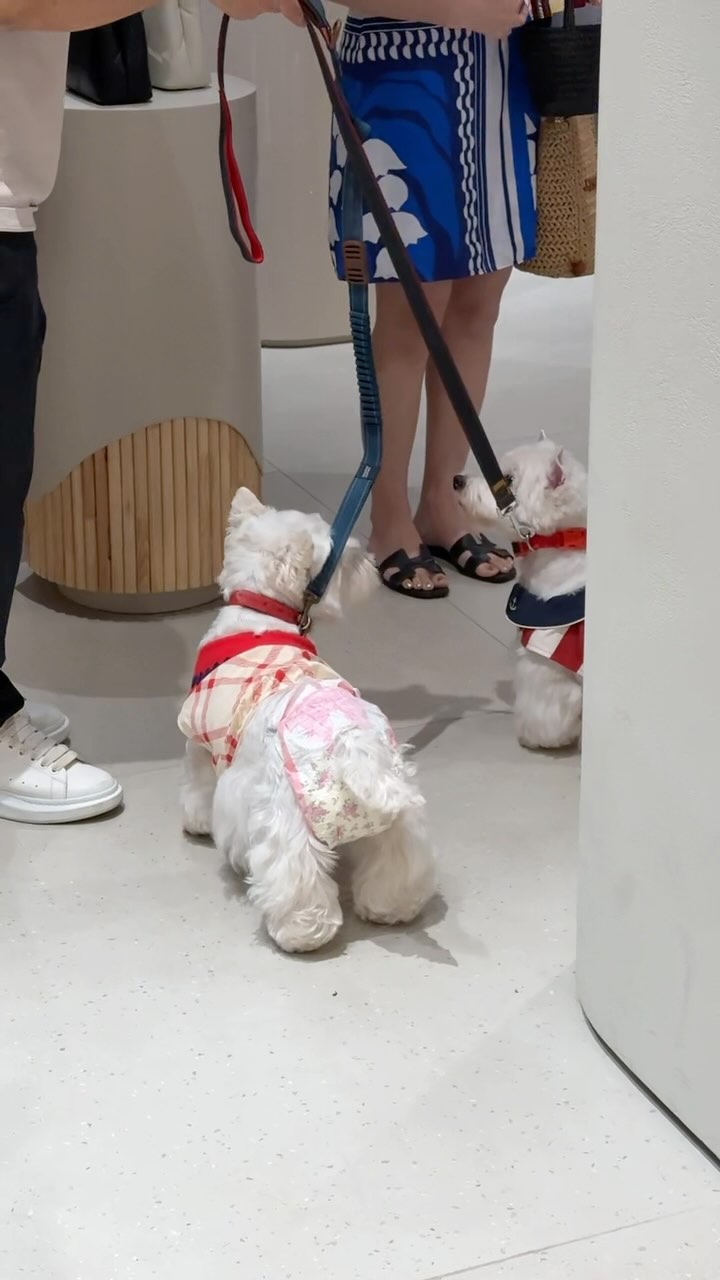 Instagram post by @nadya.neber for JASPAL. Caption reads: #jaspalxboost 
#jaspalslushysummer 
#jaspalhual....