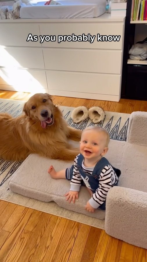 Instagram post by @skylars.the.limit for Diaper Genie. Caption reads: Skylar has been a great preparation for motherhood....