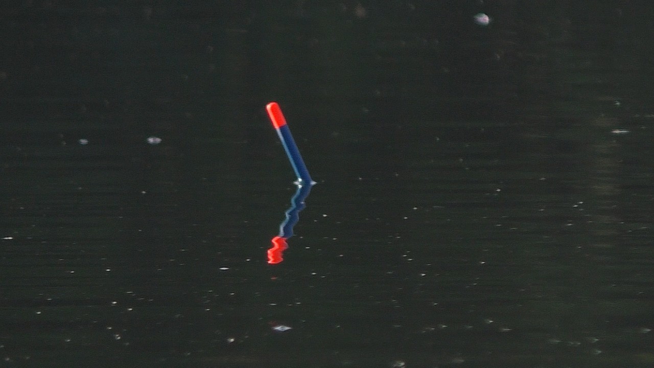 YouTube post by @primanki for fas.st. Caption reads: I took my pontoon out on a small lake !!! It was....
