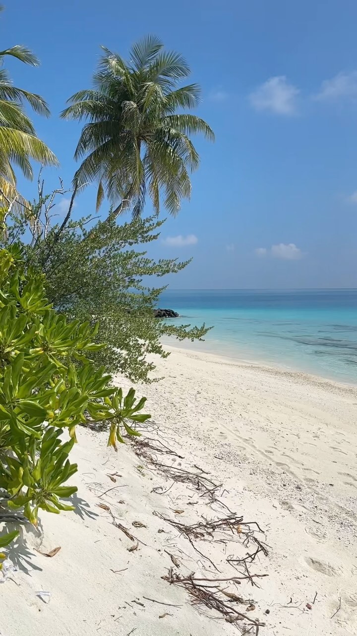 Instagram post by @kidtripster for Visit Maldives. Caption reads: Fiyavalhu Resort opened in 2021 on the island of....