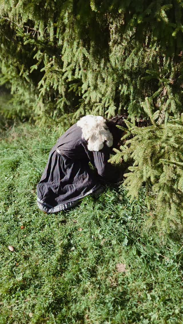 Instagram post by @yngvarberserk for The Beard Struggle. Caption reads: Stop there!
Want to know a secret? 

The Beard....