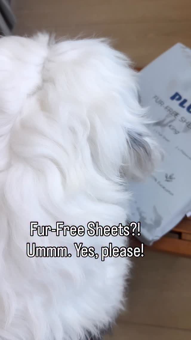 Instagram post by @thegoodboyjimin for Plufl. Caption reads: [...] fur-free sheets from our friends @weareplufl....