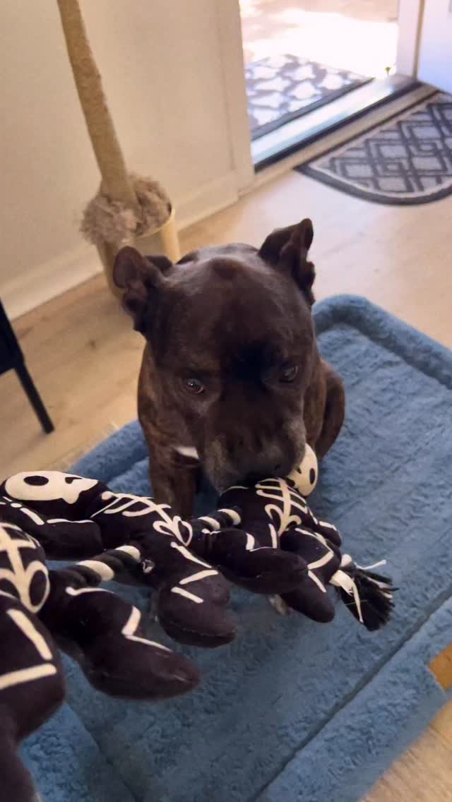 Instagram post by @iamdestinymonique for Pinspark. Caption reads: #Ad in my @pinspark_official set 
I’m obsessed....