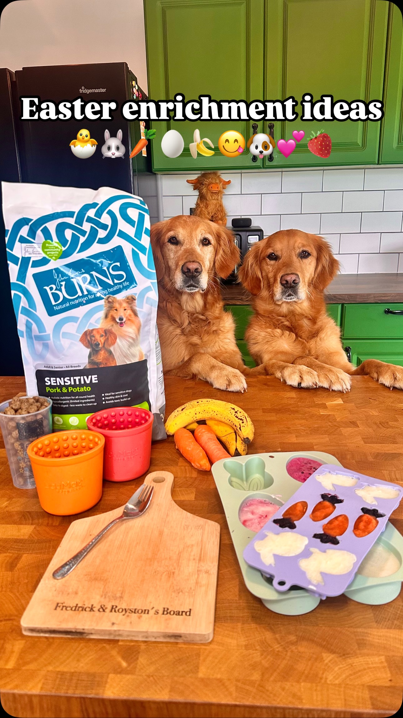 Instagram post by @fredrickandroyston for Burns Pet Food. Caption reads: Episode 3 of showing you enrichment ideas ✨

What....