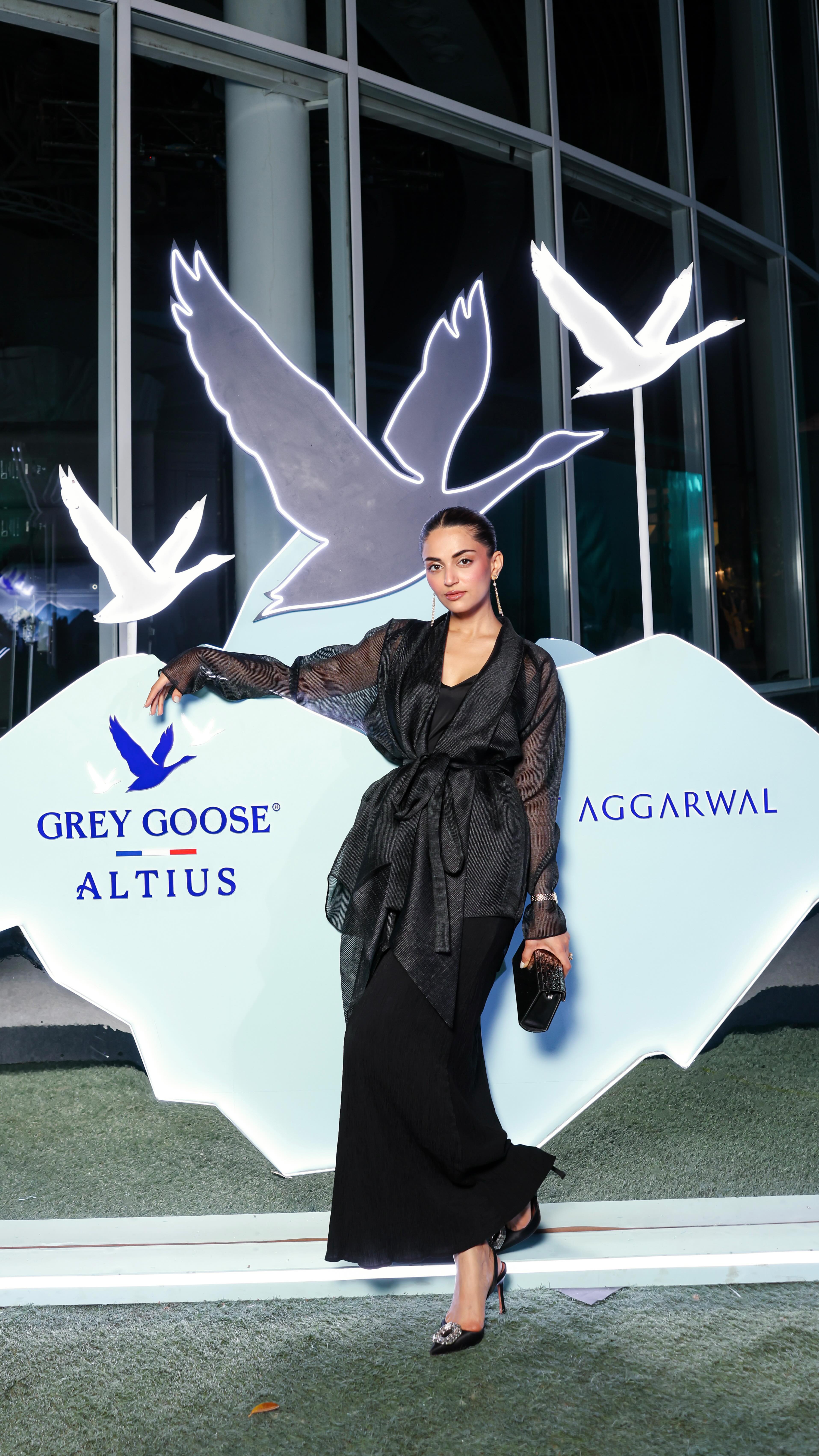 Instagram post by @mehakbakshi09 for Grey Goose. Caption reads: [...] moments with @amitaggarwalofficial and....
