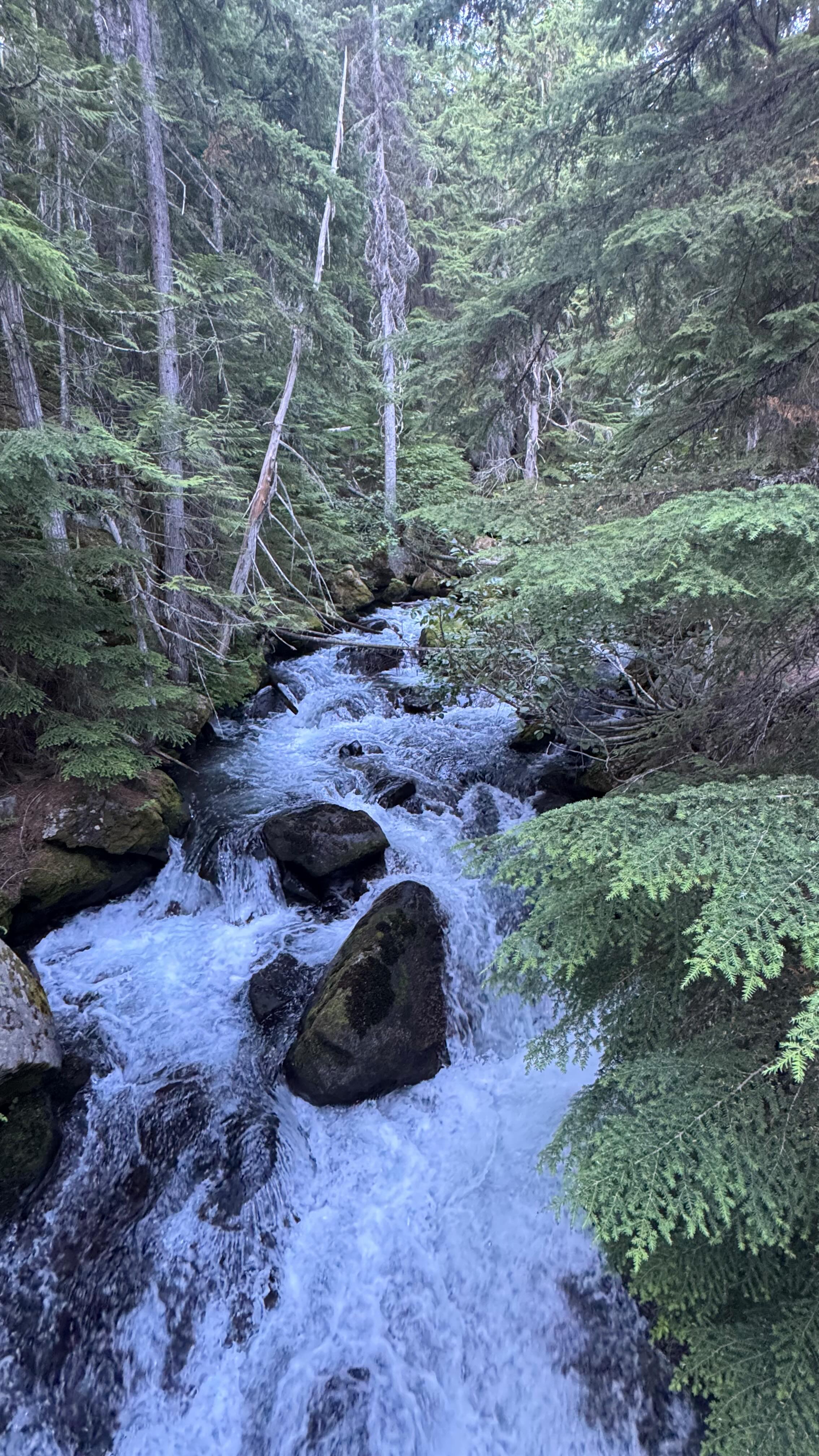 Instagram post by @lesstalkmorefuckit for Oral-B. Caption reads: A couple takeaways.. I know you’ll never unhear....