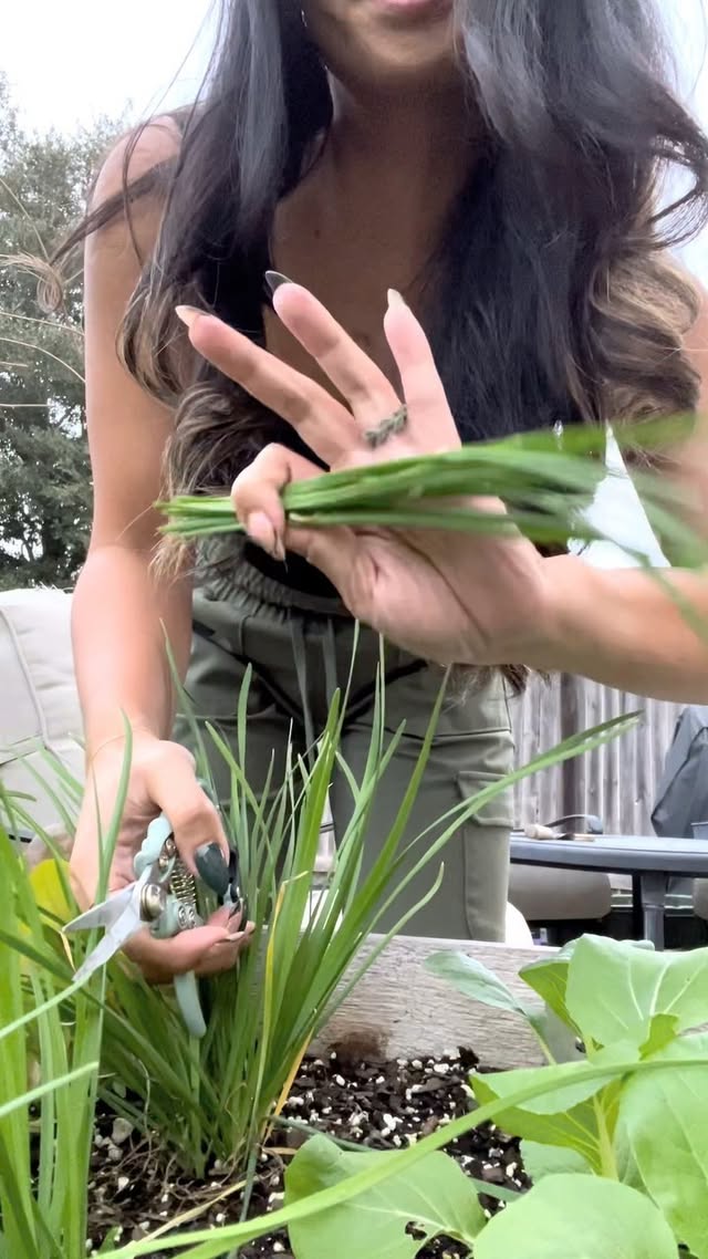 Instagram post by @inrootedlove for Modern Sprout. Caption reads: This will never get old for me!! The satisfaction....