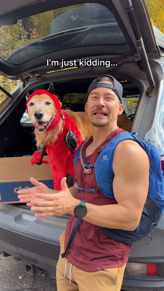 Instagram post by @adventuringwithnala for Chewy. Caption reads: Imagine a forest filled with Nalas dressed as....