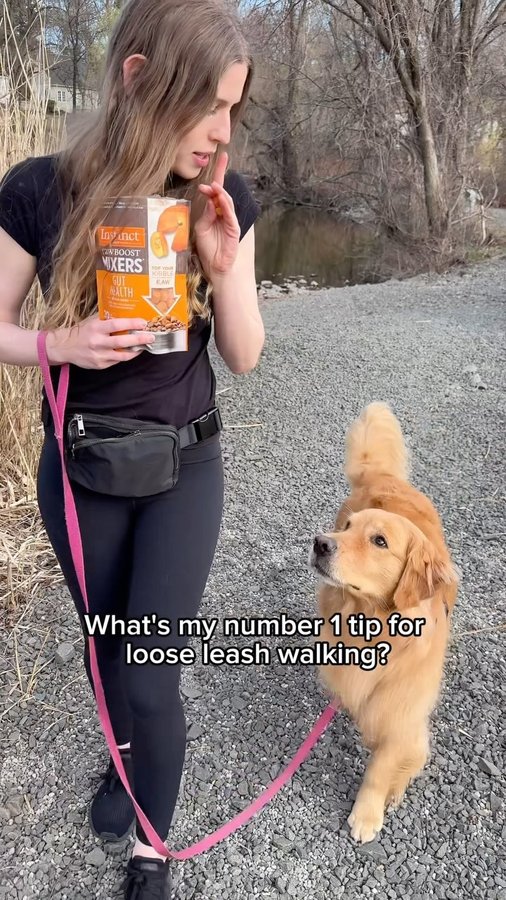 Instagram post by @skylars.the.limit for Instinct Pet Food. Caption reads: [...] tip? High-value treats! #ad We love....