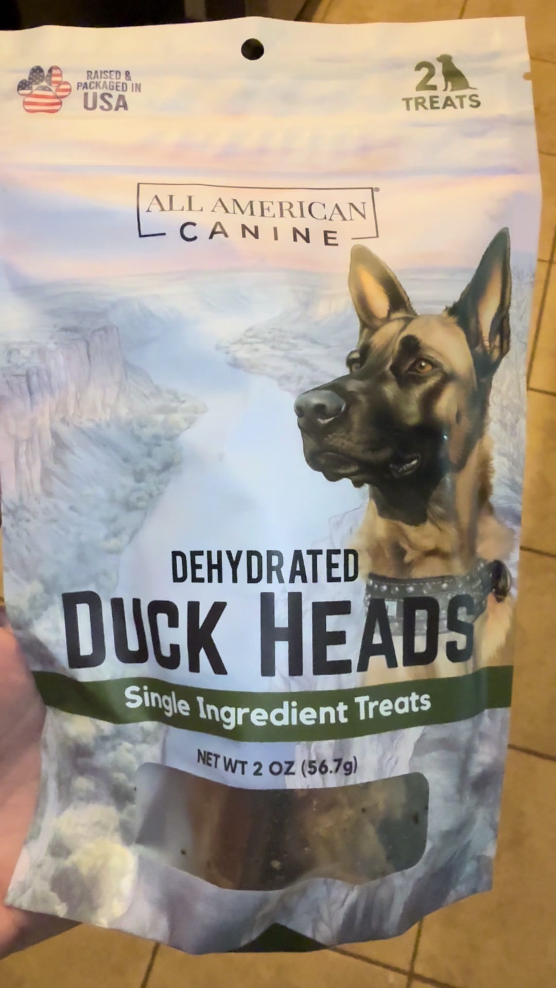 TikTok post by @schnauzermomto6 for All American Canine. Caption reads: [...] #schnauzersoftiktok #duckhead @ALL AMERICAN....